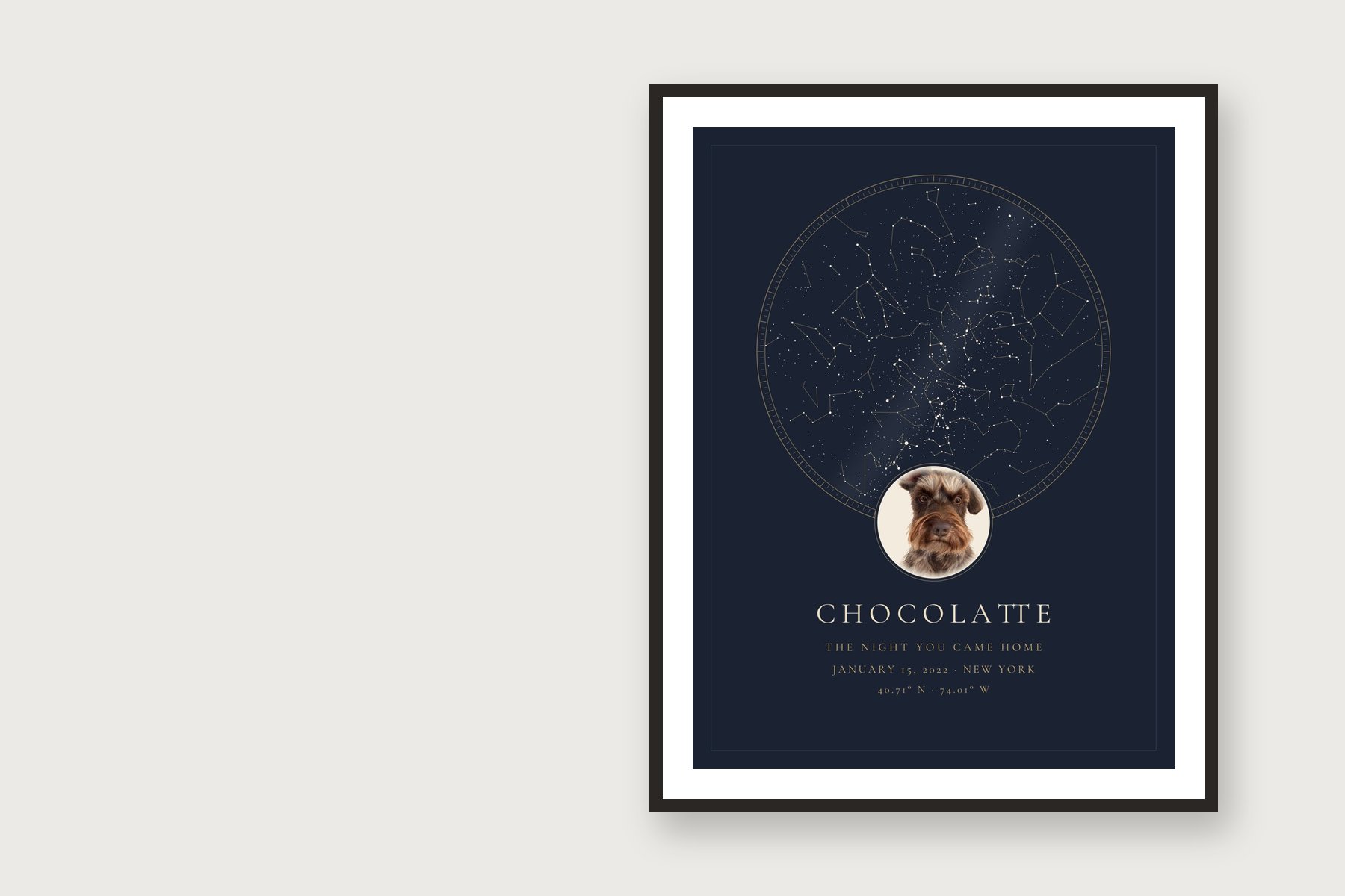 Chocolatte the schnauzer sitting next to his framed Fondful portrait